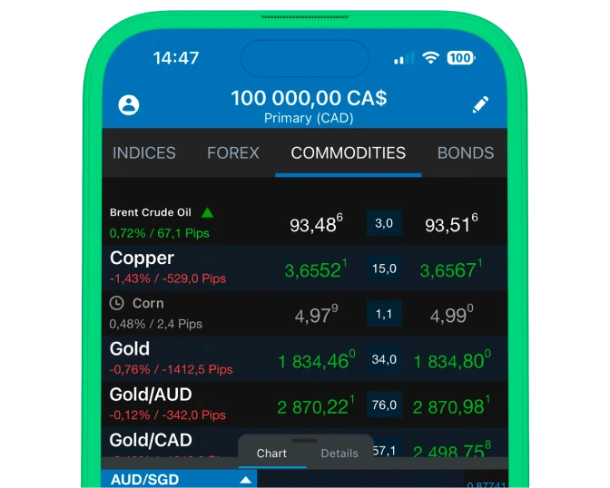 what is commodities - OCAN